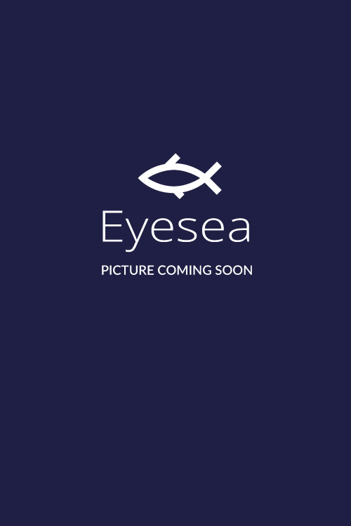 eyesea-coming-soon